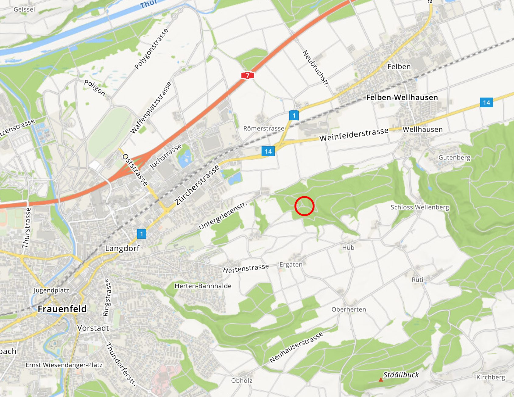 Training Goldhalde @ Grillplkatz zwischen Frauenfeld und Wellhausen